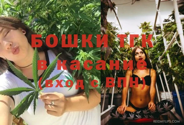 прущие крисы Богданович