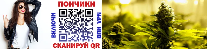 Шишки марихуана семена  ссылка на мегу маркетплейс  Десногорск  где купить  